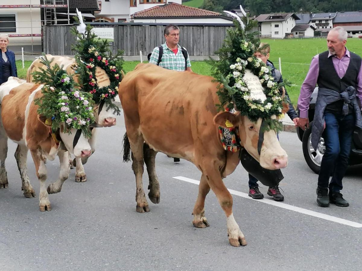 Appart Gruber Zell am Ziller Ngoại thất bức ảnh